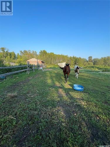 Horse Haven 35 Acres, Hudson Bay Rm No. 394, SK - Outdoor With View