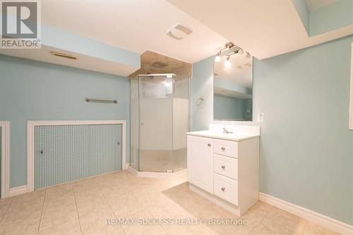 378 Martin Street, Milton (Old Milton), ON - Indoor Photo Showing Bathroom