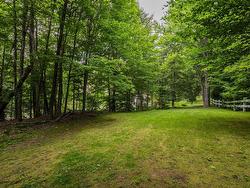 Wooded area - 