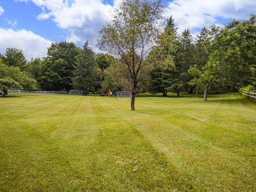 Wooded area - 995 Rue Principale, Saint-Sauveur, QC - Outdoor With View