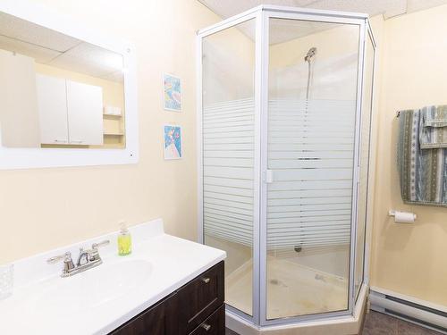 Salle de bains - 860 Rue St-André, Saint-Pascal, QC - Indoor Photo Showing Bathroom