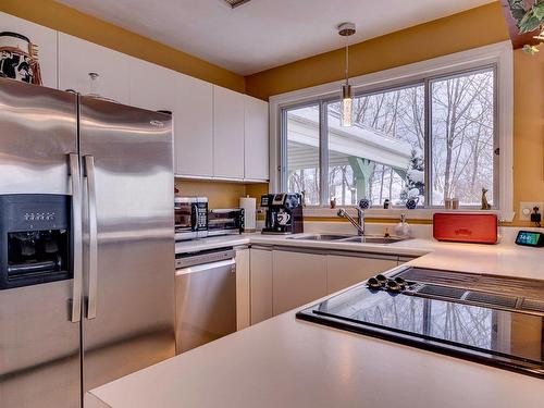 Kitchen - 179 Ch. Des Chênes, Sainte-Anne-Des-Lacs, QC - Indoor Photo Showing Kitchen With Double Sink