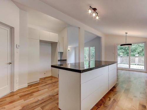 Cuisine - 373 Rue Baillargeon, Saint-Jean-Sur-Richelieu, QC - Indoor Photo Showing Kitchen