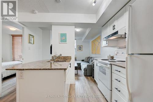 256 - 313 Richmond Street E, Toronto (Moss Park), ON - Indoor Photo Showing Kitchen