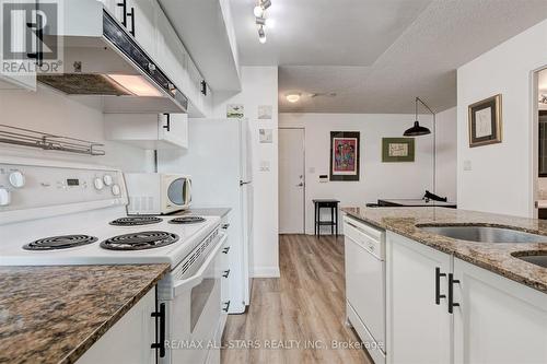 256 - 313 Richmond Street E, Toronto (Moss Park), ON - Indoor Photo Showing Kitchen