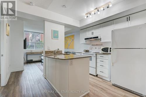 256 - 313 Richmond Street E, Toronto (Moss Park), ON - Indoor Photo Showing Kitchen