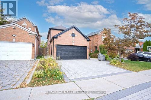 Bsmt - 56 Buckhorn Avenue, Richmond Hill (Westbrook), ON 