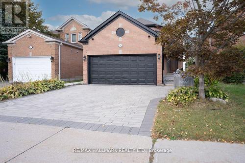 Bsmt - 56 Buckhorn Avenue, Richmond Hill (Westbrook), ON 