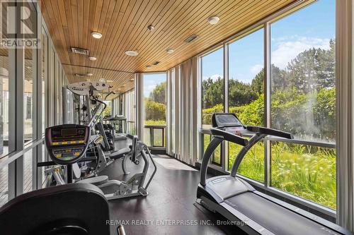 202 - 880 Dundas Street W, Mississauga (Erindale), ON -  Photo Showing Gym Room