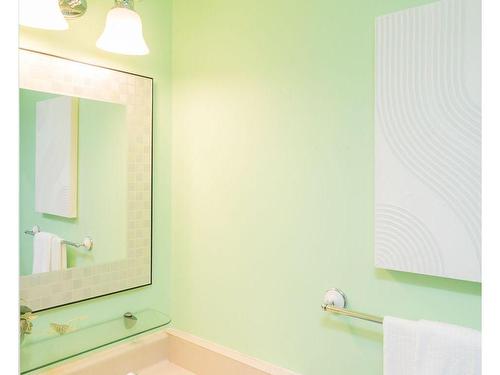 79 Ironstone Dr, Cambridge, ON - Indoor Photo Showing Bathroom