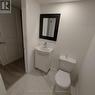 Lower-L - 51 Royal Orchard Boulevard, Markham (Royal Orchard), ON  - Indoor Photo Showing Bathroom 