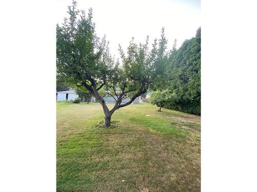 2705 5Th Avenue, Castlegar, BC - Outdoor With View