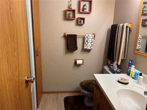 300 Wells Street, Killarney, MB - Indoor Photo Showing Bathroom