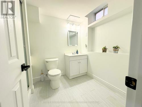 Lower - 4454 Mayflower Drive, Mississauga (Hurontario), ON - Indoor Photo Showing Bathroom