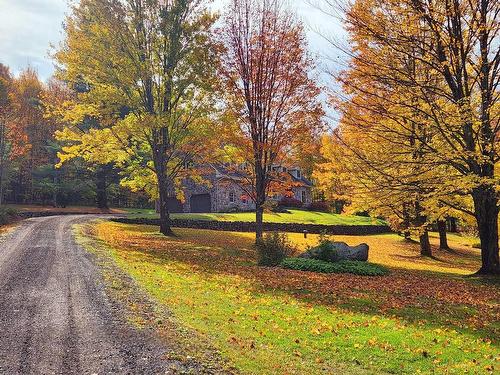 ExtÃ©rieur - 7 Rue Eldridge, Brome, QC - Outdoor With View