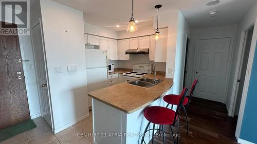 Ph11 - 3 Ellesmere Street, Richmond Hill, ON - Indoor Photo Showing Kitchen With Double Sink