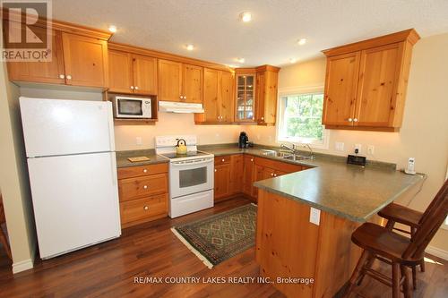 275 Mcguire Beach Road, Kawartha Lakes, ON - Indoor Photo Showing Kitchen With Double Sink