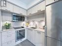 501 - 50 Mccaul Street, Toronto (Kensington-Chinatown), ON  - Indoor Photo Showing Kitchen With Upgraded Kitchen 