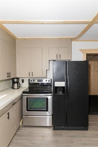 28 Second Street, Swan Lake, MB - Indoor Photo Showing Kitchen