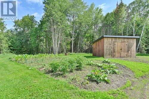 990 French Settlement Road, Tweed, ON - Outdoor