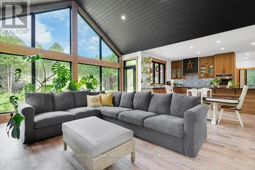 990 French Settlement Road, Tweed, ON - Indoor Photo Showing Living Room