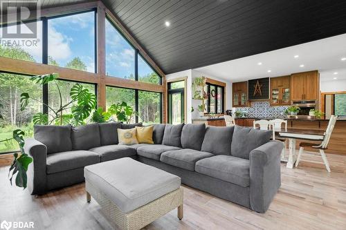 990 French Settlement Road, Tweed, ON - Indoor Photo Showing Living Room