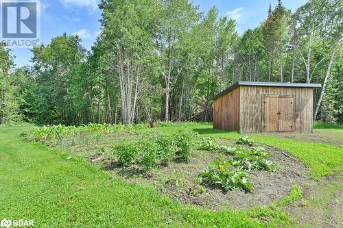 990 French Settlement Road, Tweed, ON - Outdoor