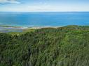 Lot 1 & 2 Shore Road, Judique North, NS 