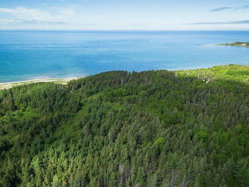 Lot 1 & 2 Shore Road, Judique North, NS 