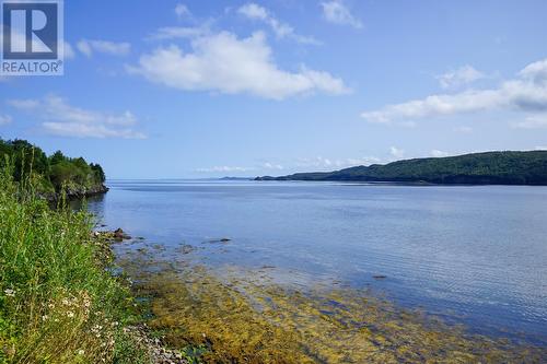 327 Main Road, Chapel Arm, NL - Outdoor With Body Of Water With View