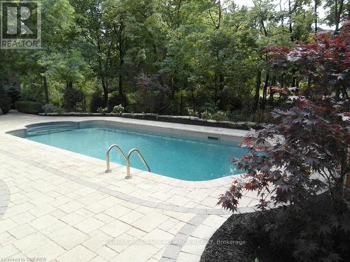 46 Ryland Terrace, Oakville, ON - Outdoor With In Ground Pool