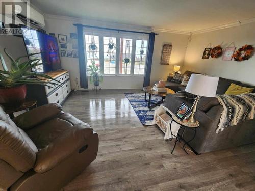 495 Main Street Street, New-Wes-Valley, NL - Indoor Photo Showing Living Room