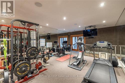 60 Sir Robert Place, Middlesex Centre (Arva), ON - Indoor Photo Showing Gym Room