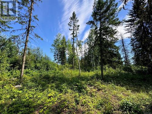 2137 Higdon Road, Quesnel, BC - Outdoor With View