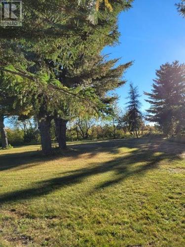 1275 St-Charles Nord Road, Saint-Charles, NB - Outdoor With View