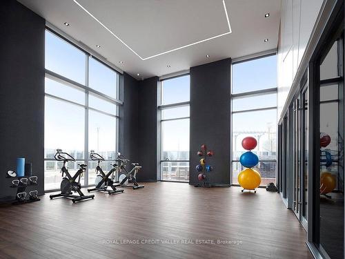 1307-255 Village Green Sq, Toronto, ON - Indoor Photo Showing Gym Room