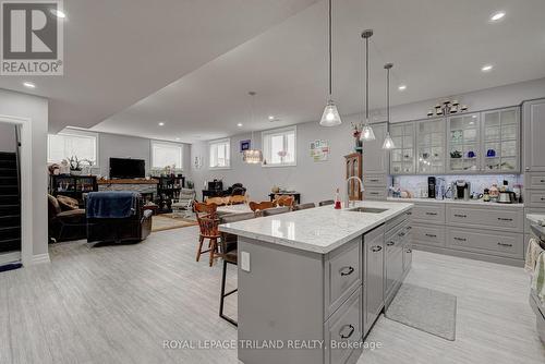 22345 Allen Road, Strathroy-Caradoc (Mount Brydges), ON - Indoor Photo Showing Kitchen