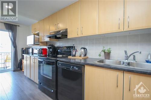 552 Lakeridge Drive, Ottawa, ON - Indoor Photo Showing Kitchen With Double Sink