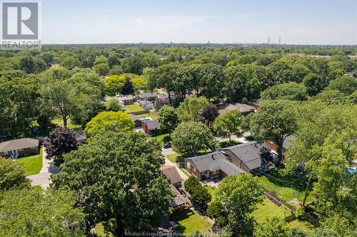 3296 Mckay Avenue, Windsor, ON - Outdoor With View