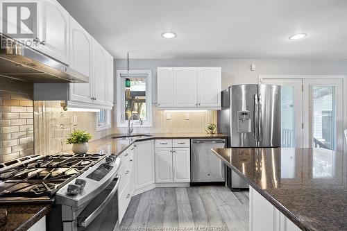 3296 Mckay Avenue, Windsor, ON - Indoor Photo Showing Kitchen With Stainless Steel Kitchen With Upgraded Kitchen