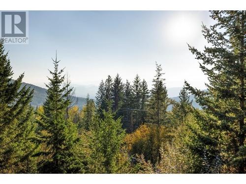 8215 Silver Star Road, Vernon, BC - Outdoor With View