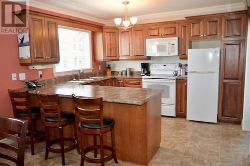 36 Goose Bay Drive, Musgravetown, NL - Indoor Photo Showing Kitchen With Double Sink