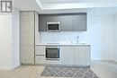 4705 - 8 Widmer Street, Toronto, ON  - Indoor 