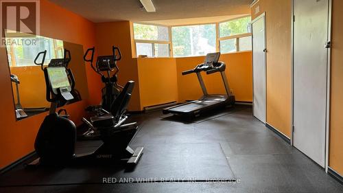 202 - 384 Erb Street W, Waterloo, ON - Indoor Photo Showing Gym Room