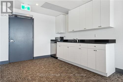 607 - 1 Wellington Street, Brantford, ON - Indoor Photo Showing Kitchen