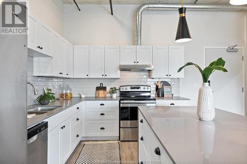 3160 Meadowbrook Lane Unit# 220, Windsor, ON - Indoor Photo Showing Kitchen With Double Sink