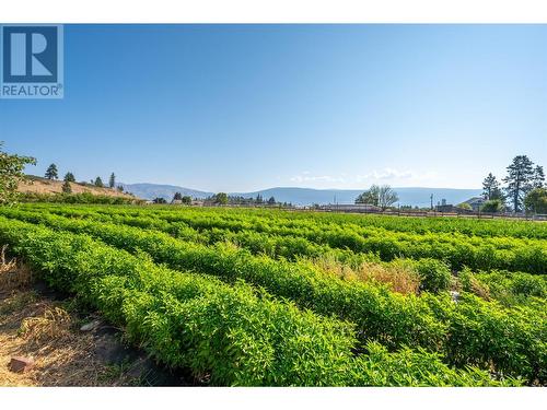 12021 Jones Flat Road, Summerland, BC - Outdoor With View