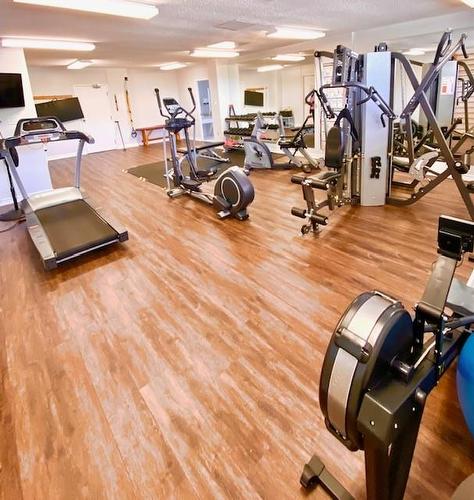 One of 2 Gyms - 2055 Upper Middle Road|Unit #1408, Burlington, ON - Indoor Photo Showing Gym Room