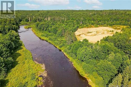 Timberland East Gaspereau Road, Gaspereau Forks, NB 