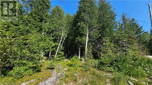 Pt Lt 35 Con 3 Wbr Murray Avenue, Northern Bruce Peninsula, ON 